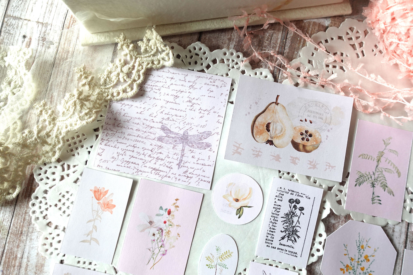 Printable Vintage Flowers & Birds