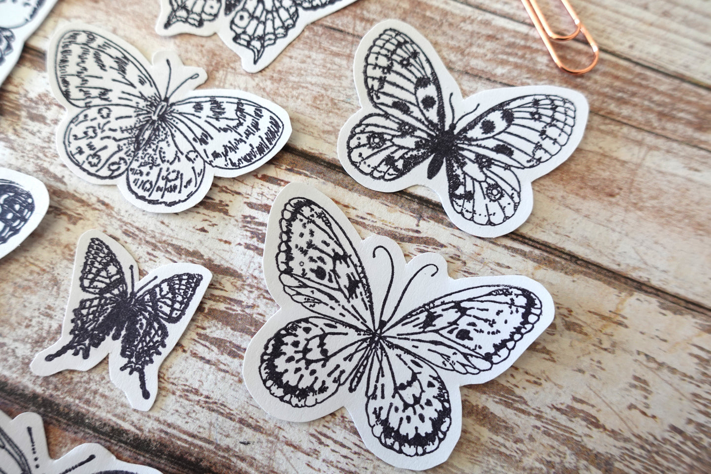 Printable Butterfly & Insect Ink Stamp