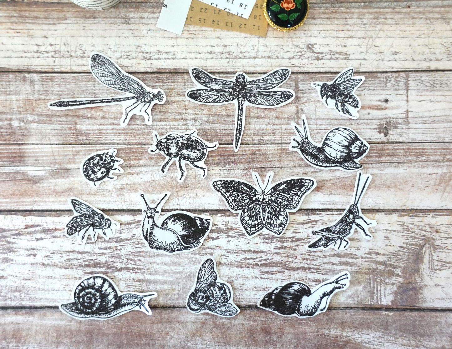 Printable Butterfly & Insect Ink Stamp