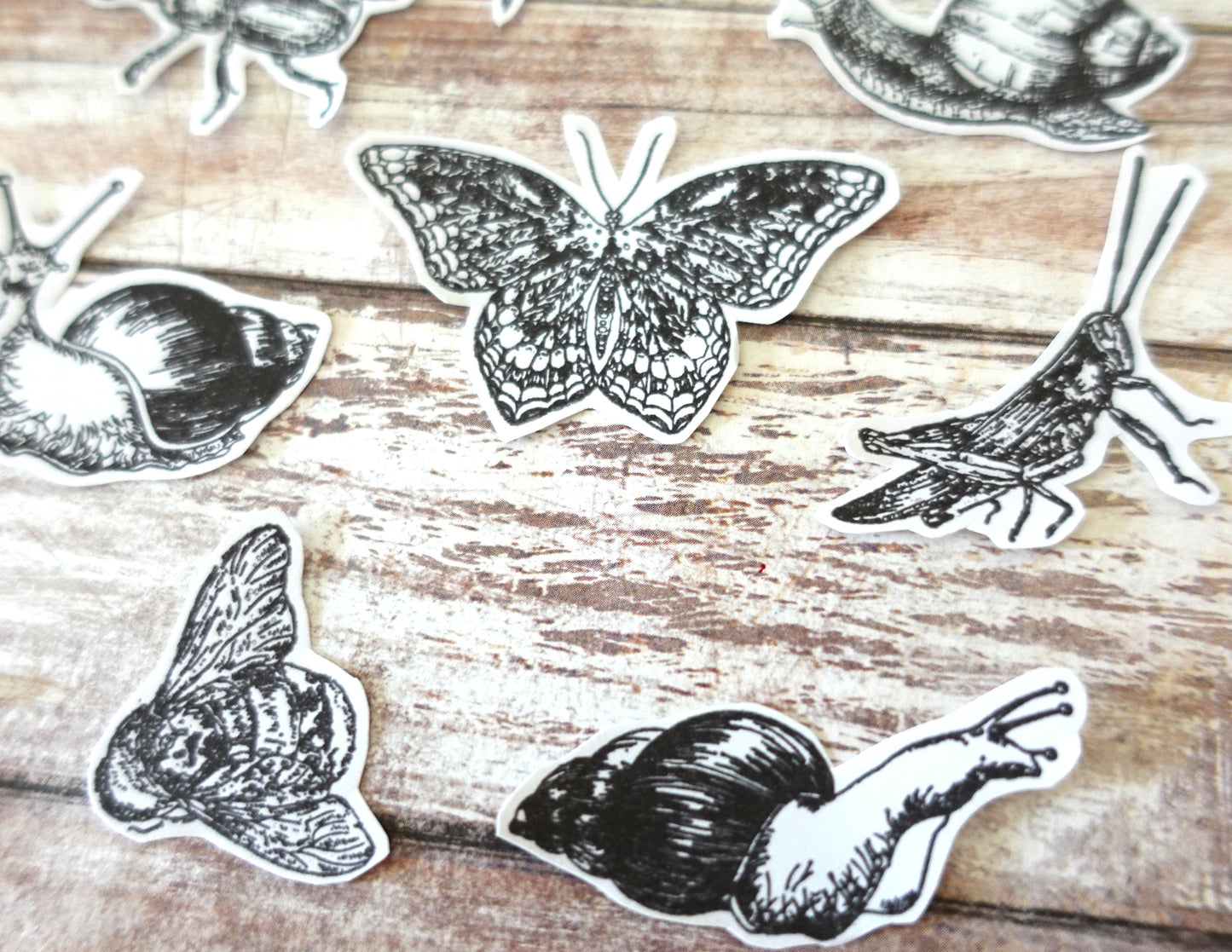 Printable Butterfly & Insect Ink Stamp