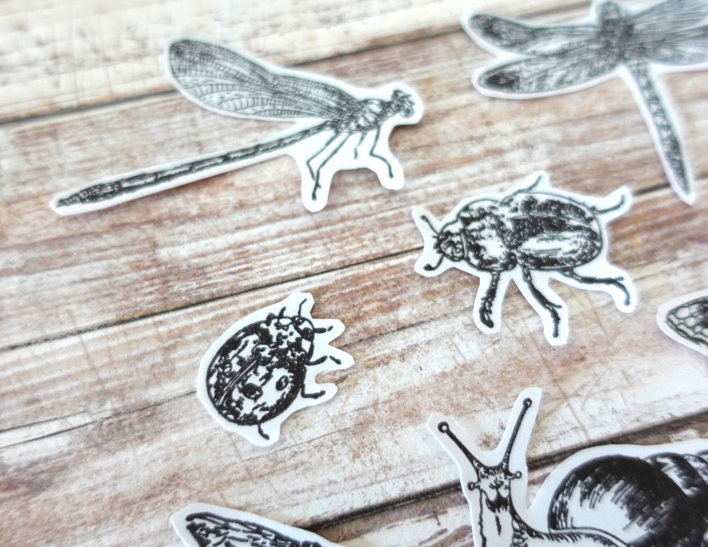 Printable Butterfly & Insect Ink Stamp