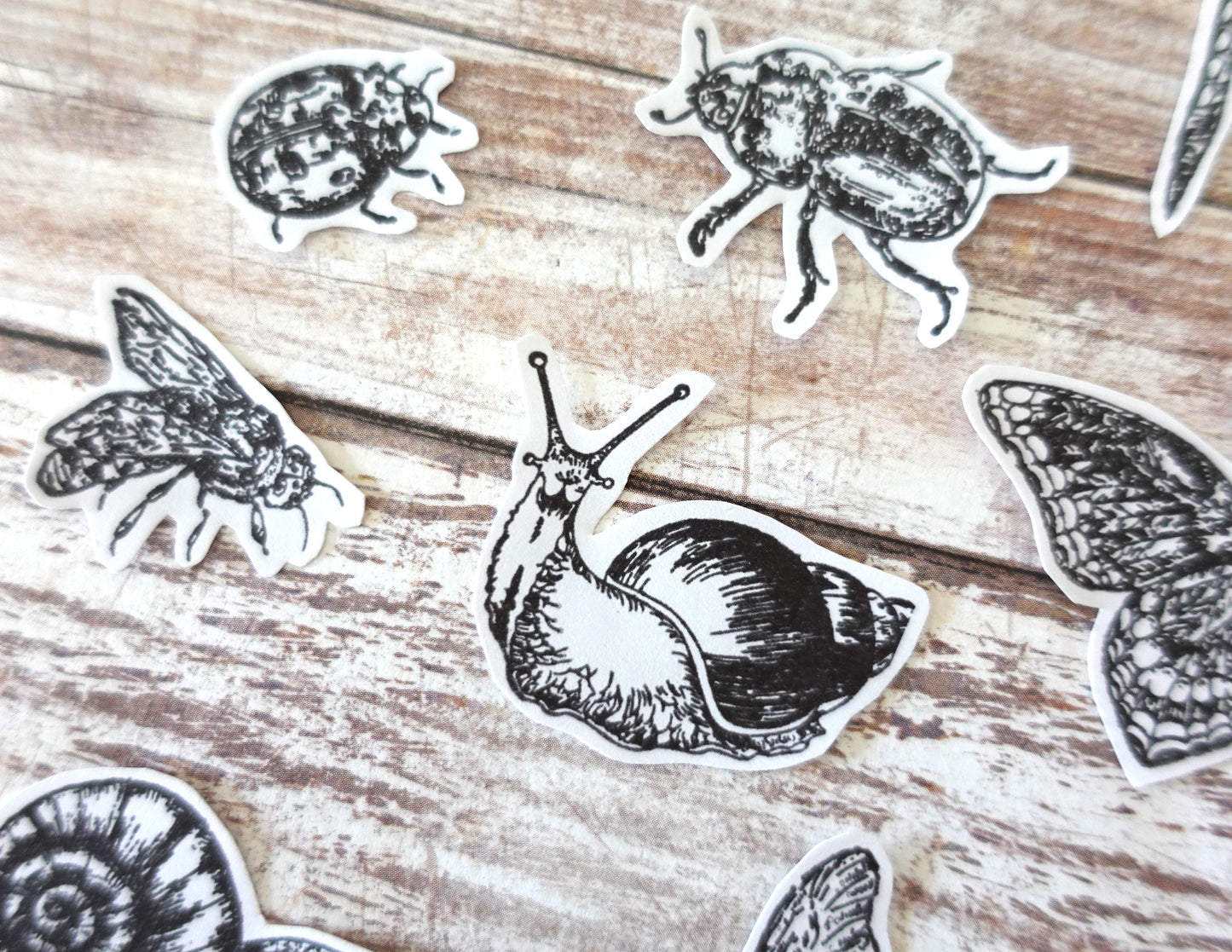 Printable Butterfly & Insect Ink Stamp