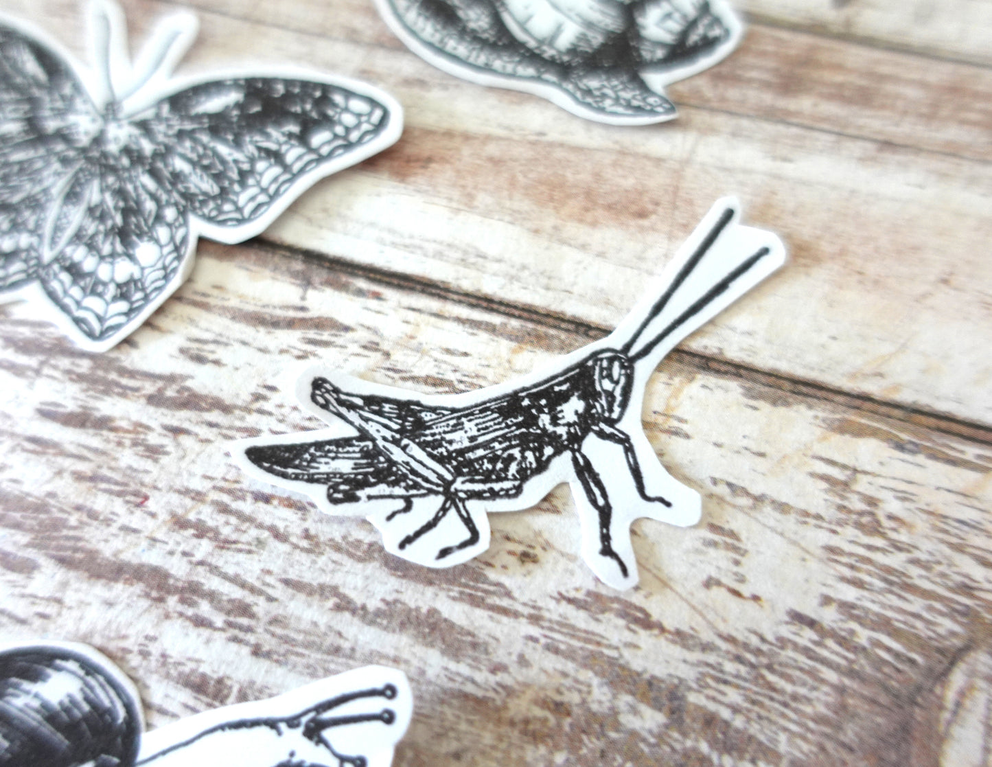Printable Butterfly & Insect Ink Stamp
