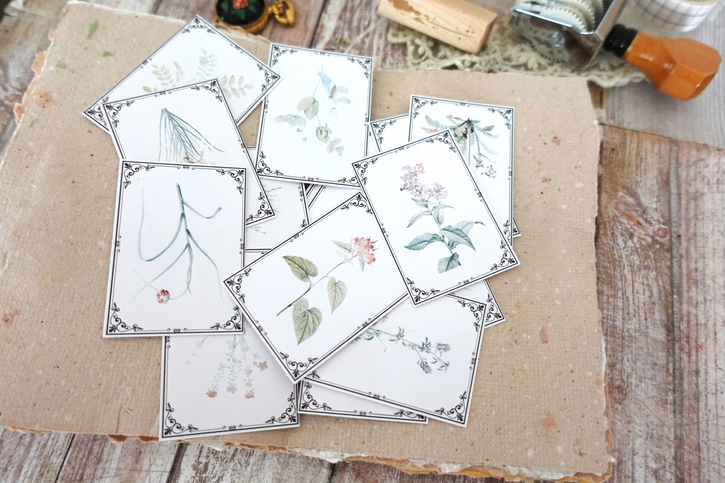 Printable Vintage Botanical Ephemera