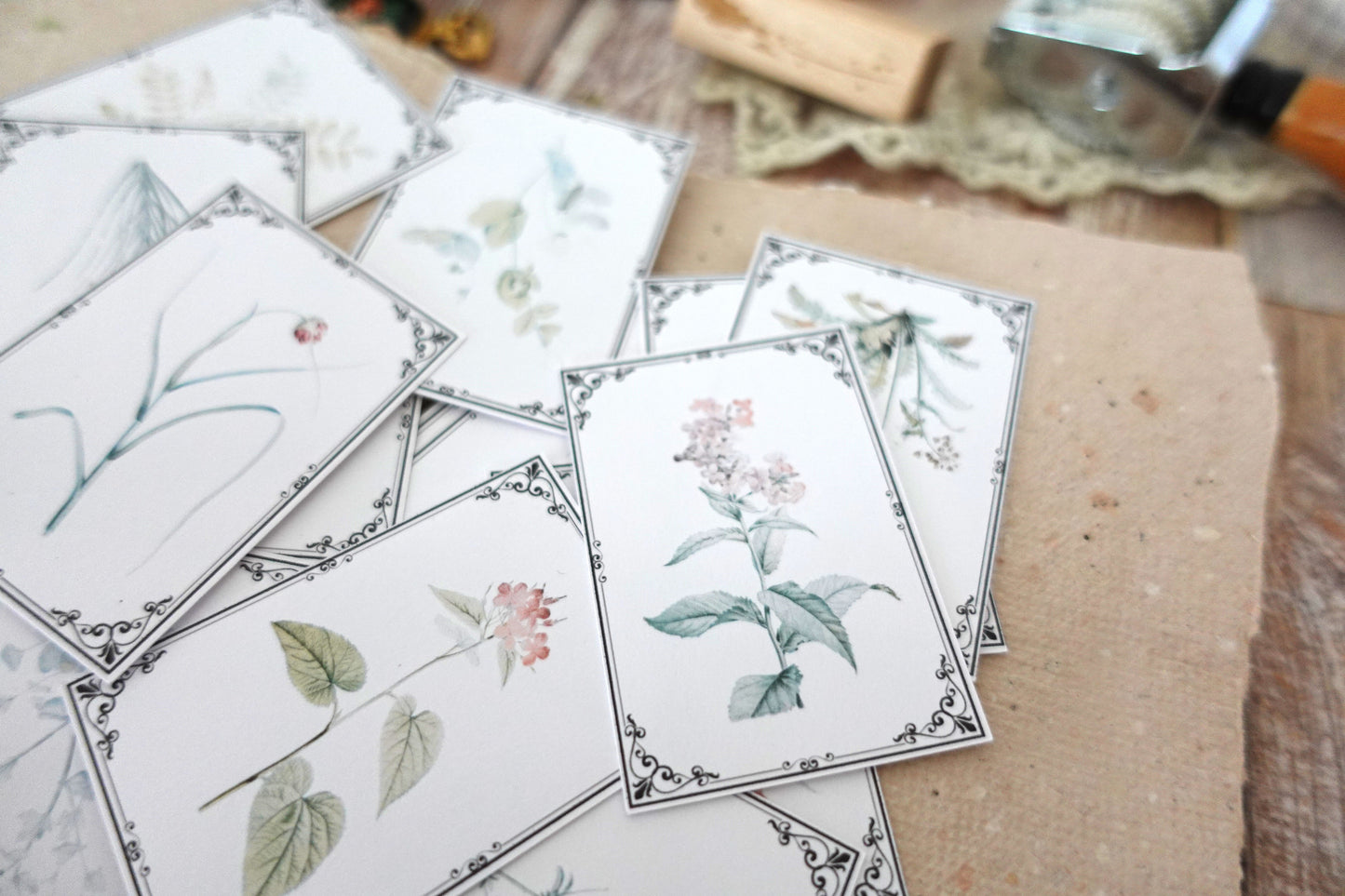 Printable Vintage Botanical Ephemera