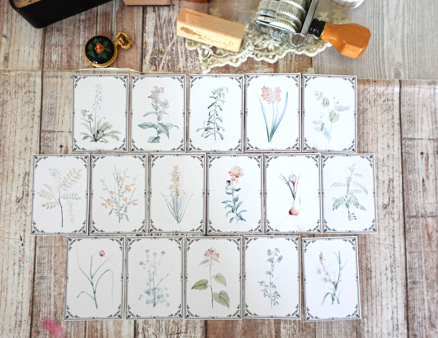Printable Vintage Botanical Ephemera