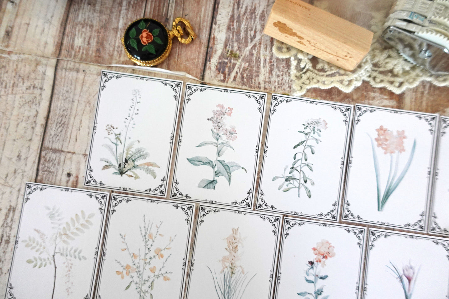 Printable Vintage Botanical Ephemera