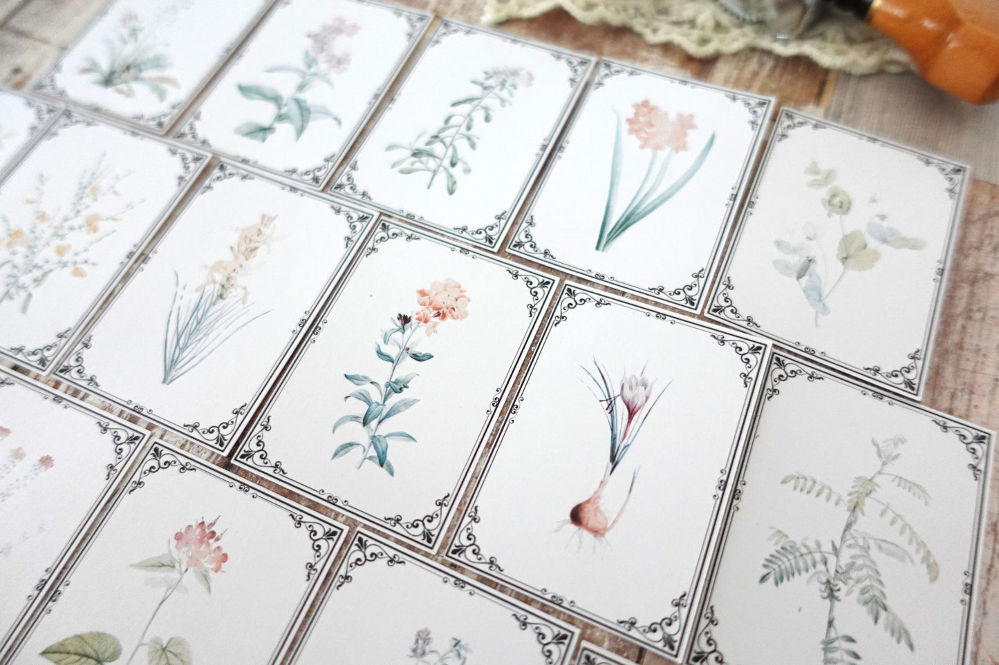 Printable Vintage Botanical Ephemera
