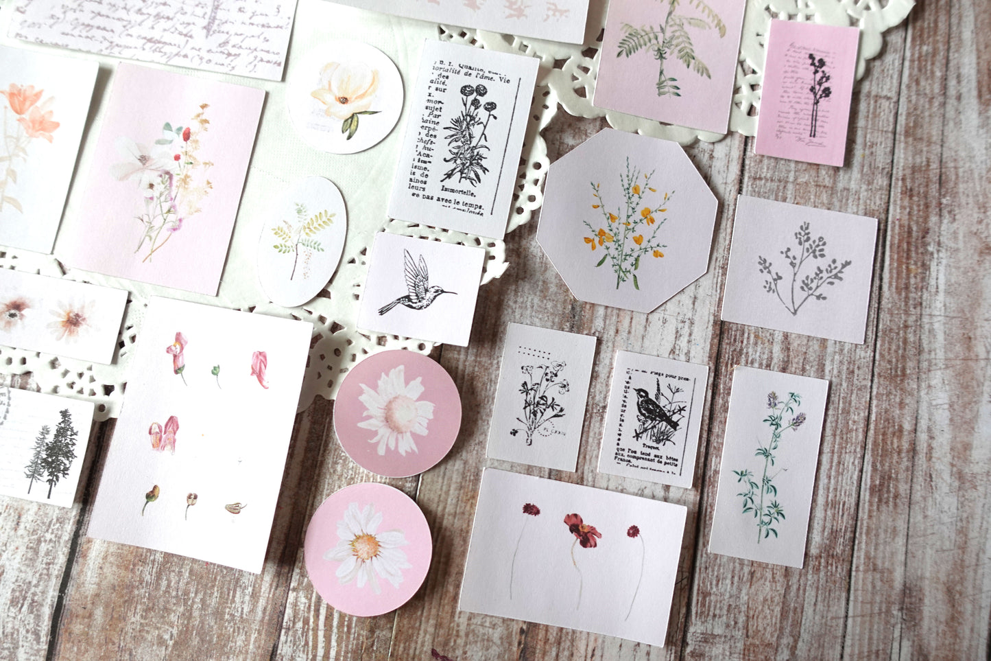 Printable Vintage Flowers & Birds