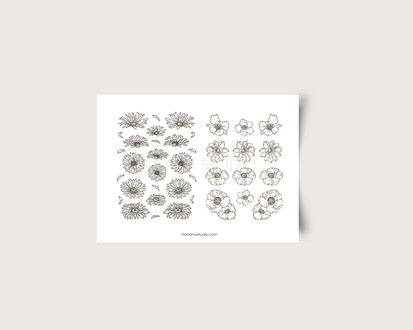 Printable Sunflower & Anemone
