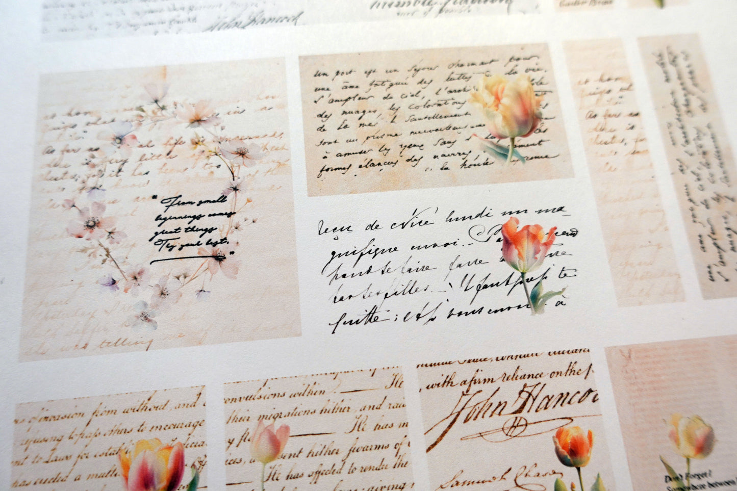 Printable Tulip Script