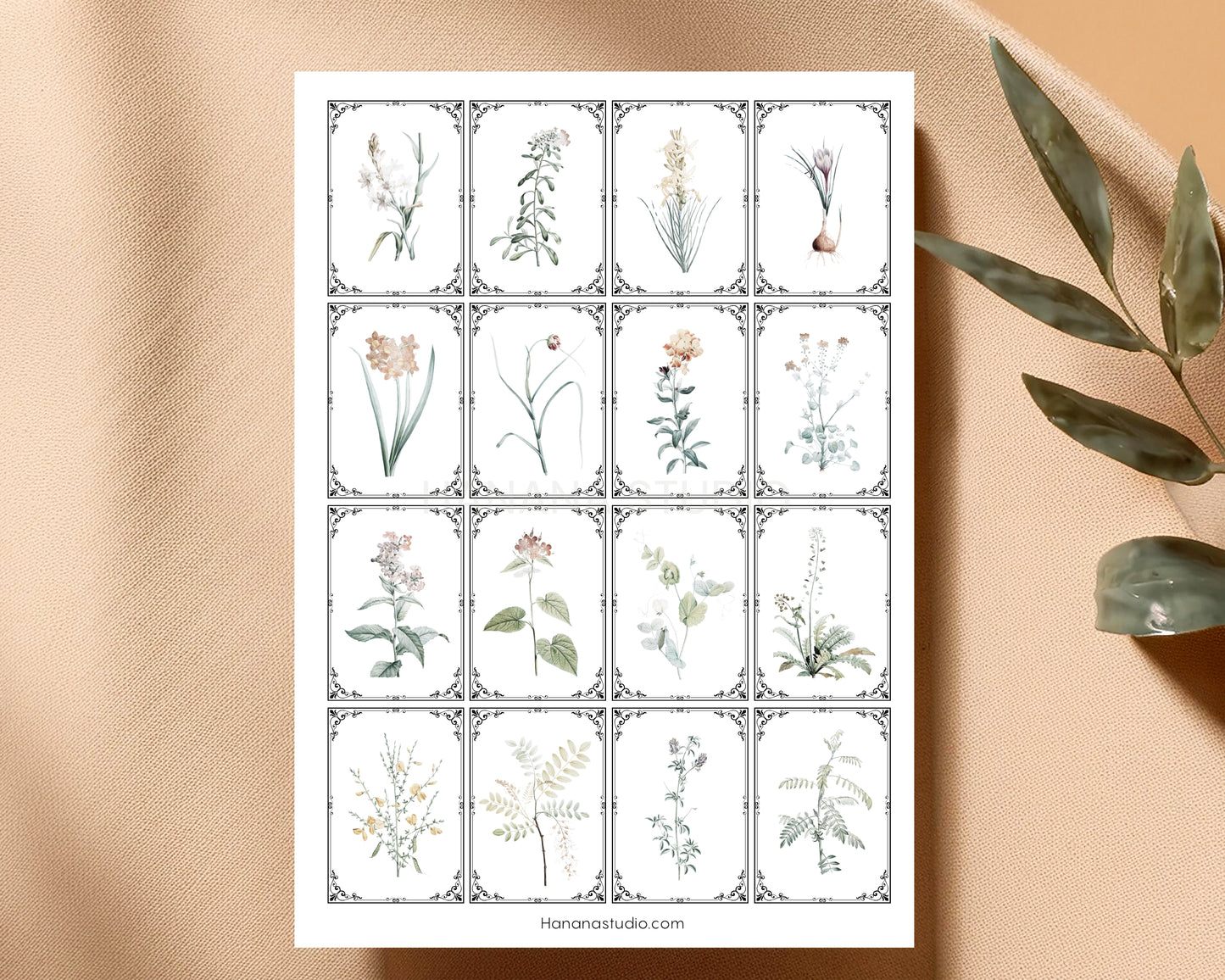 Printable Vintage Botanical Ephemera