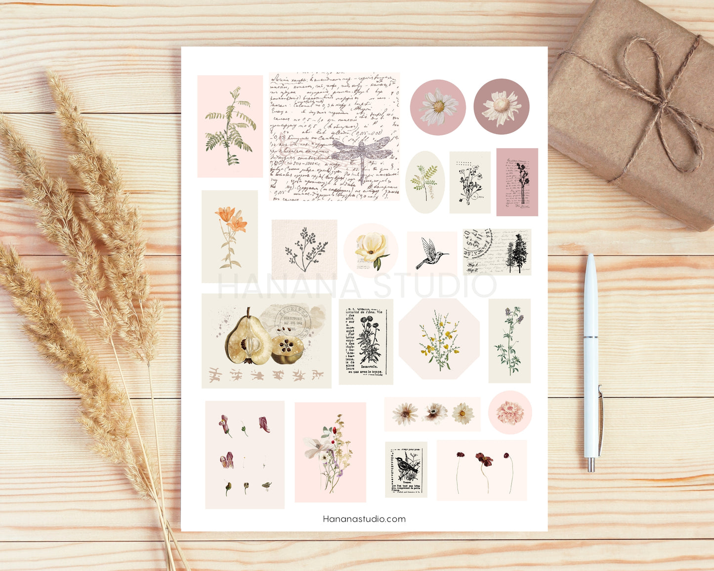 Printable Vintage Flowers & Birds