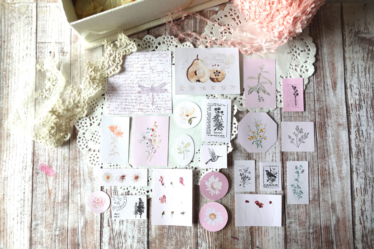 Printable Vintage Flowers & Birds