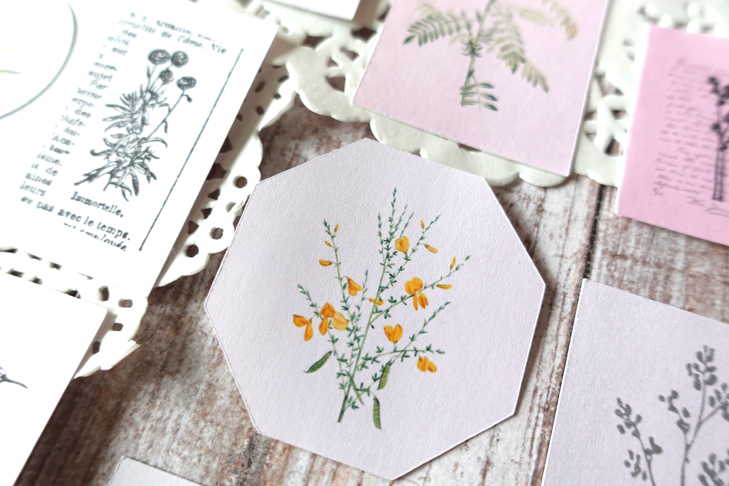 Printable Vintage Flowers & Birds