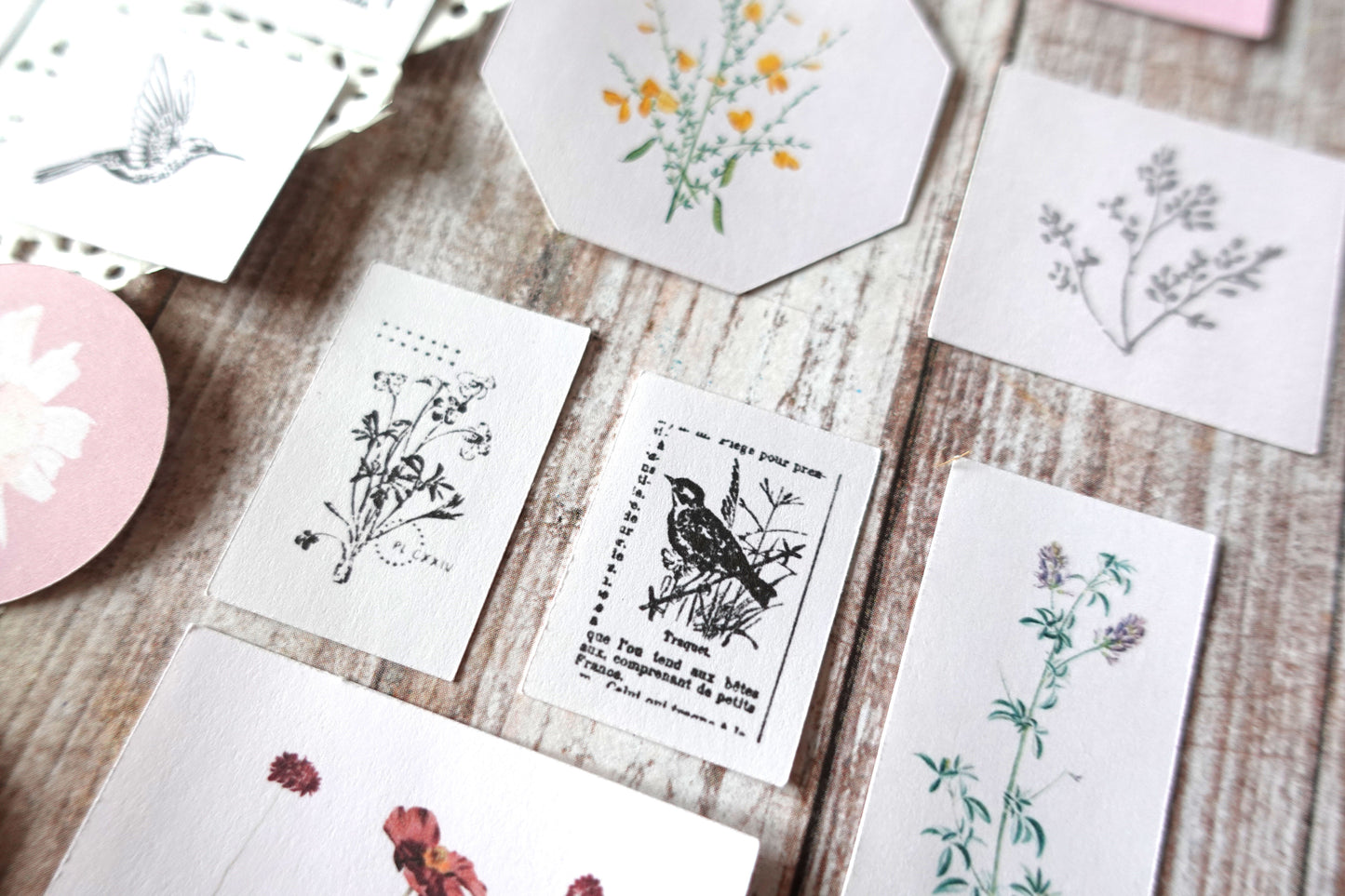 Printable Vintage Flowers & Birds