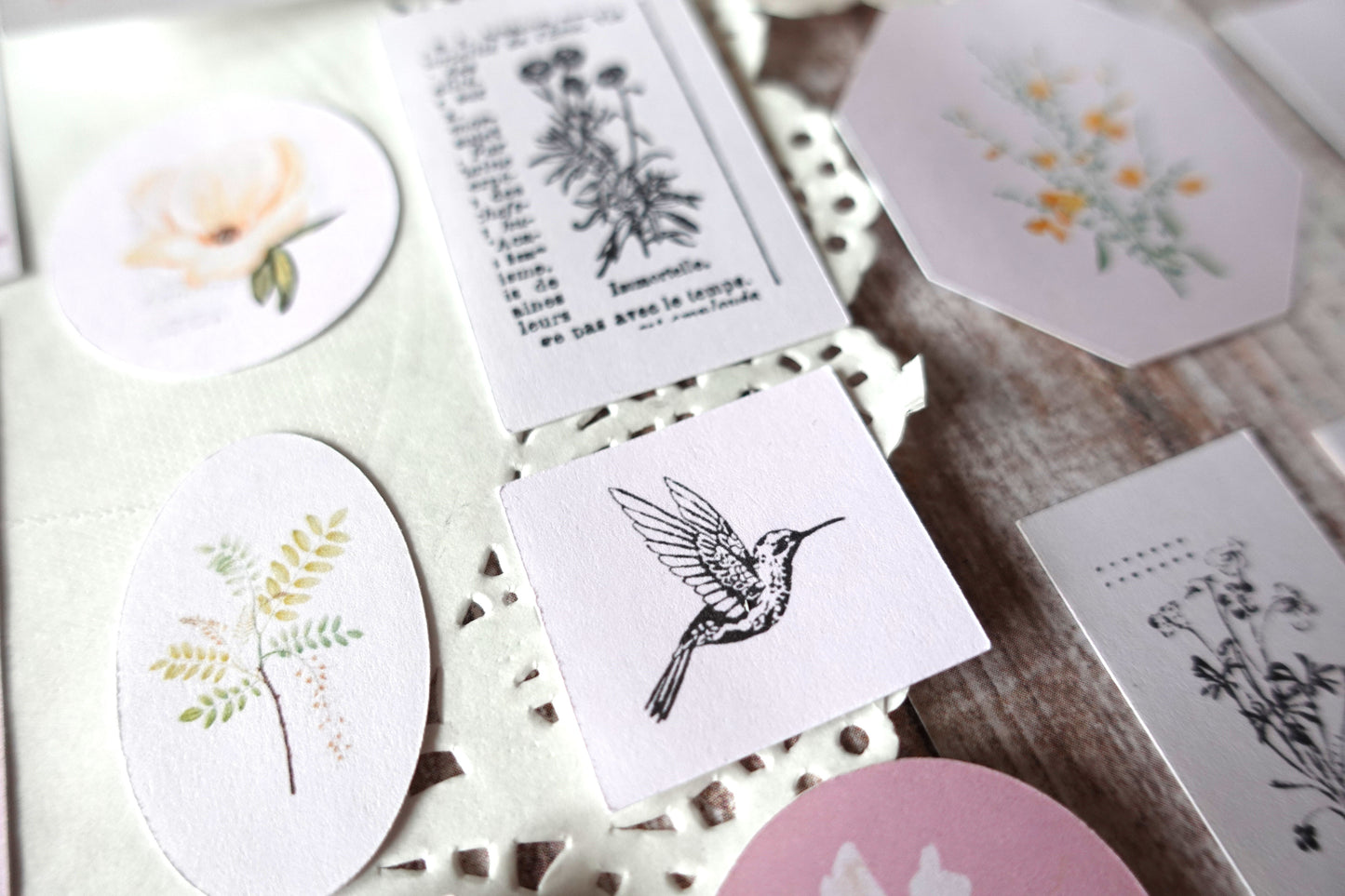 Printable Vintage Flowers & Birds
