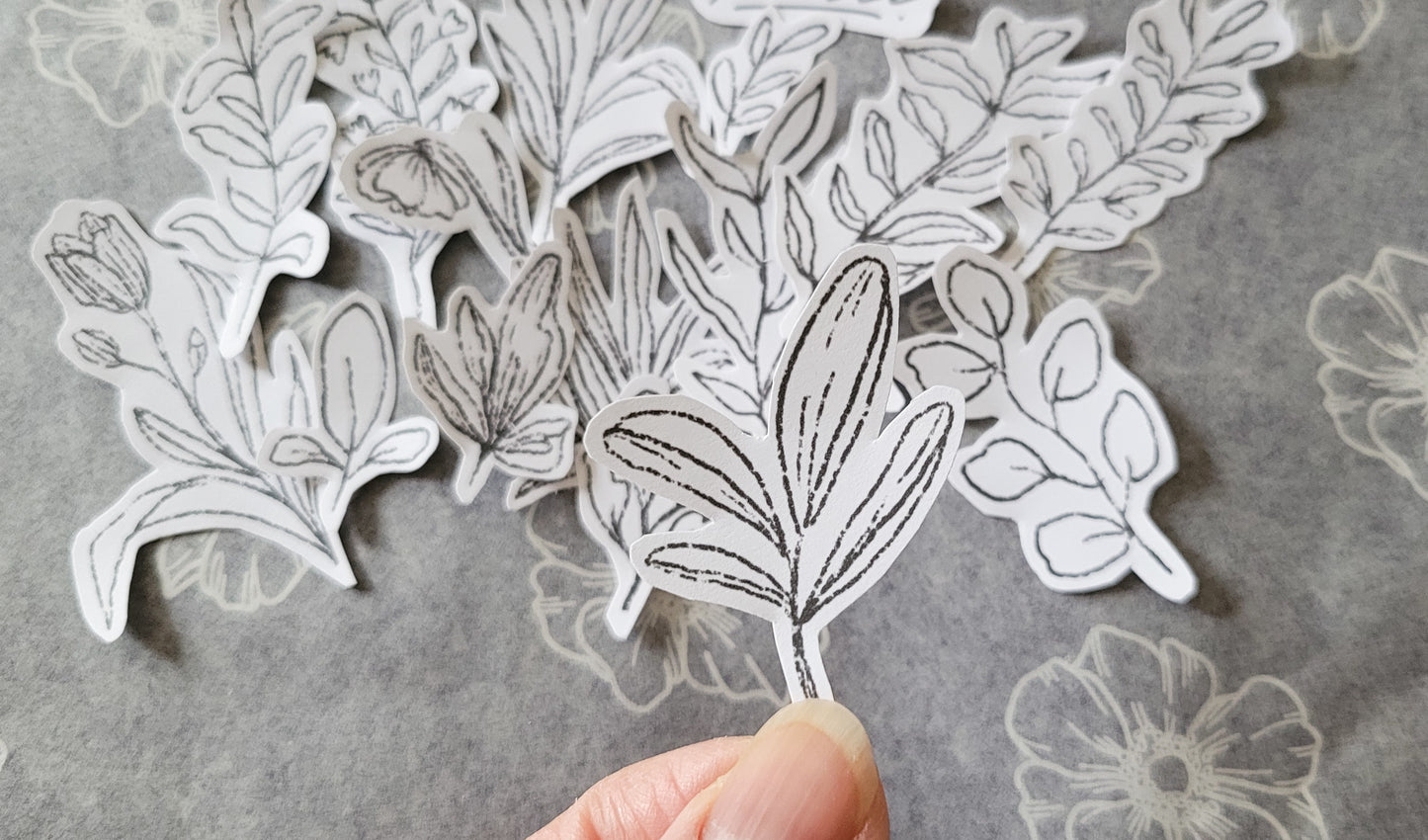 Printable Solitude Plants