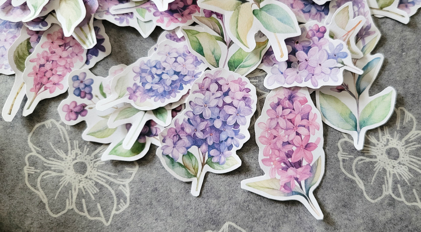 Printable Watercolor Lilacs