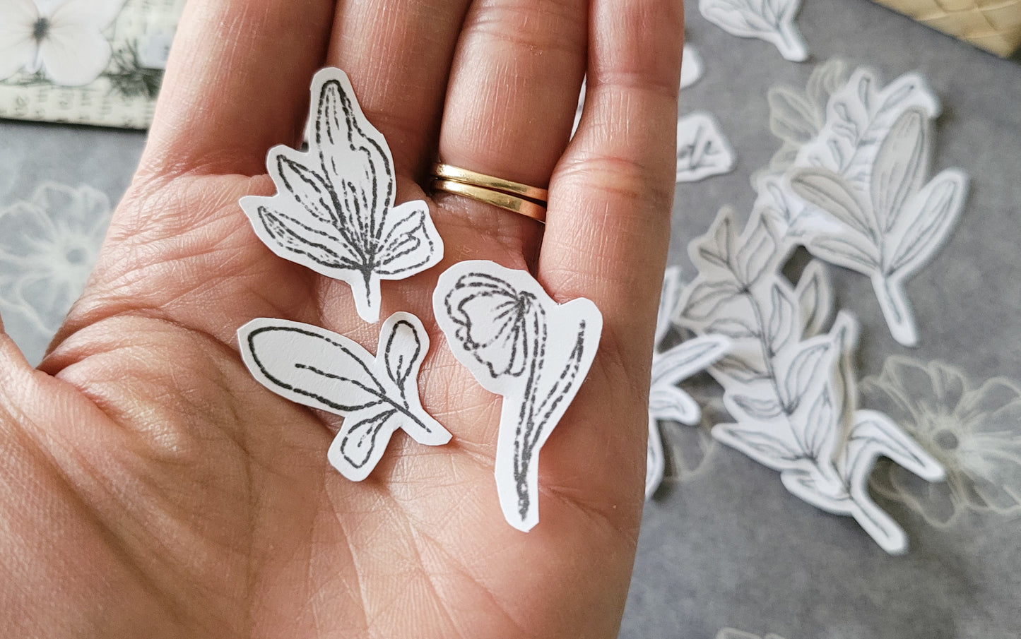 Printable Solitude Plants