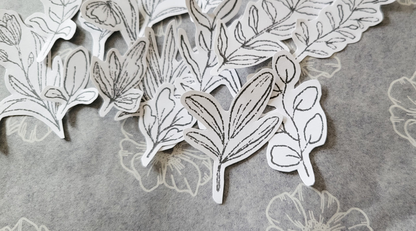 Printable Solitude Plants