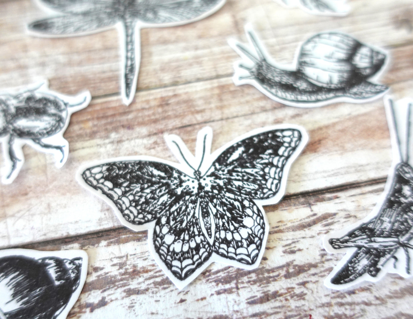 Insects Die-Cut stickers