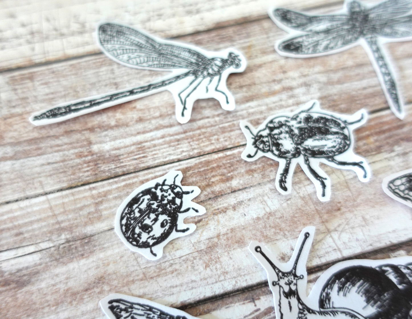 Insects Die-Cut stickers