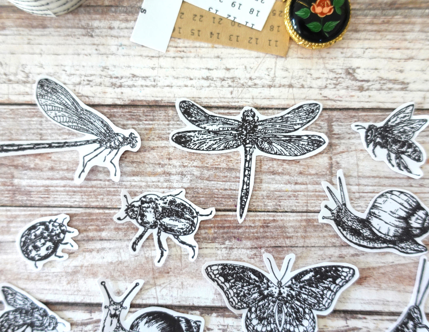 Insects Die-Cut stickers