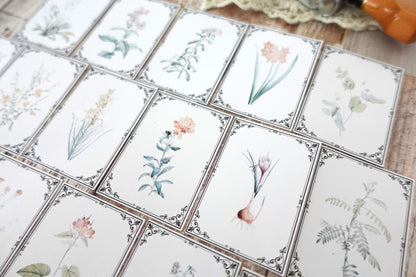 Vintage Botanicals Ephemera Cards