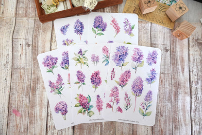 Watercolor Lilac Stickers