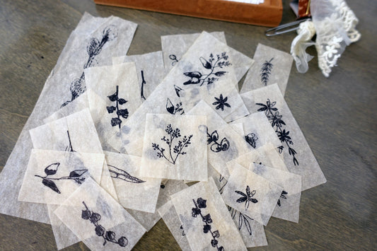 Tea-dyed Vintage Botanical Ephemera