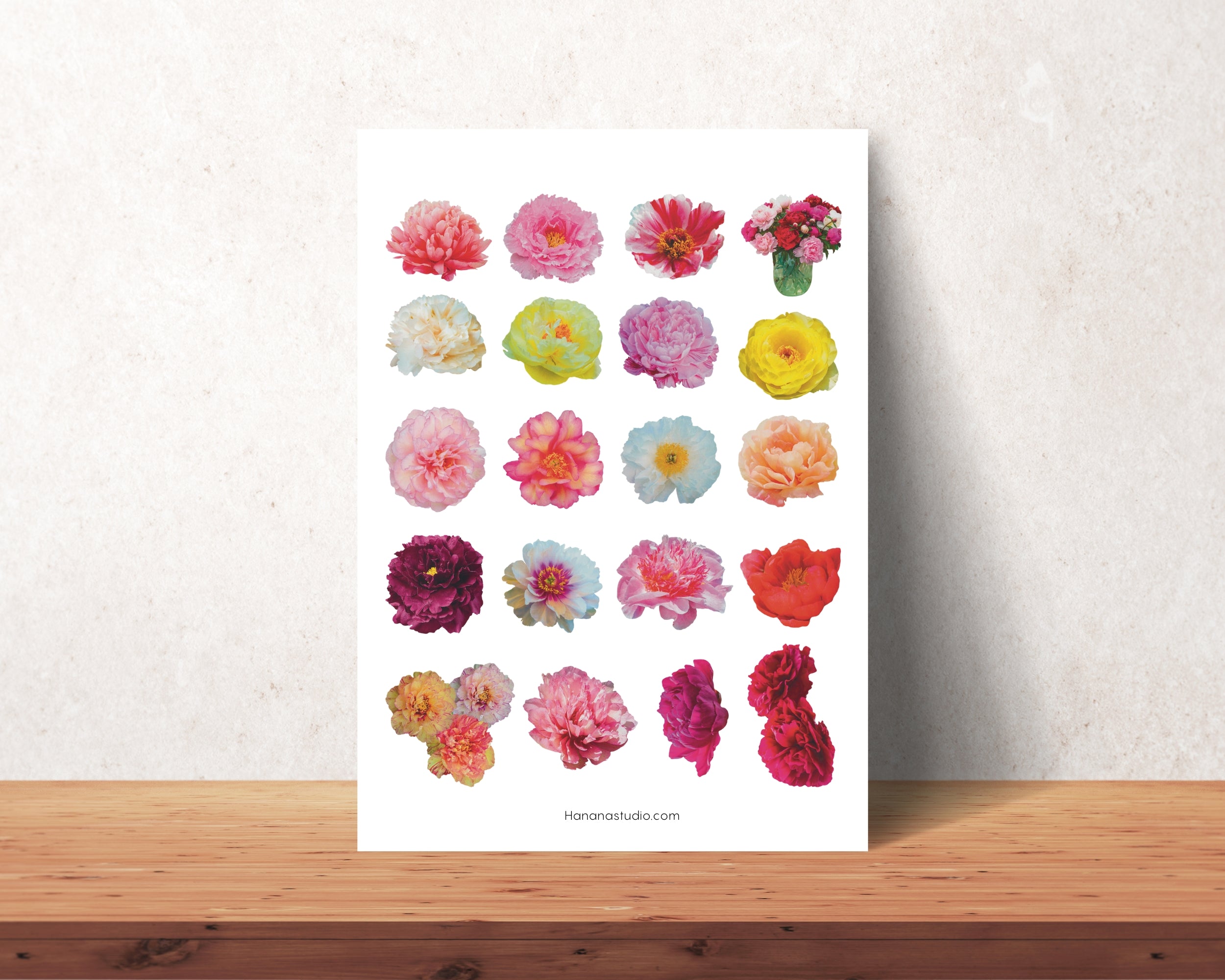 Printable Real Life Flowers – Hanana Studio