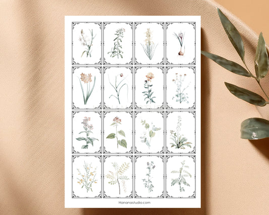 Printable Vintage Botanical Ephemera