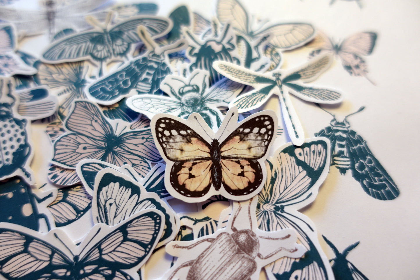 Printable Vintage Insects