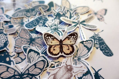 Printable Vintage Insects