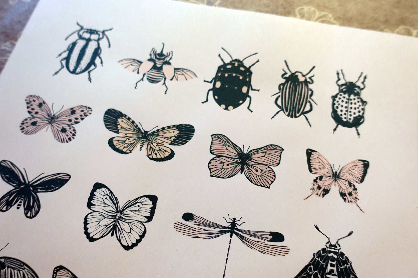 Printable Vintage Insects
