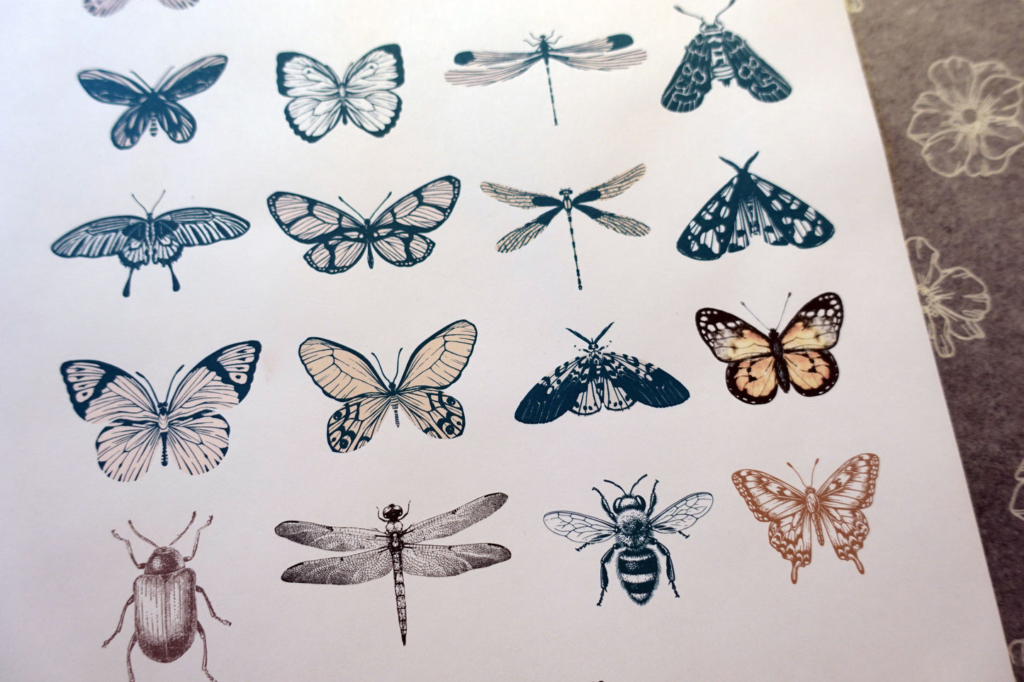 Printable Vintage Insects