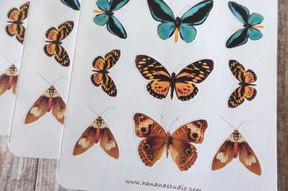 Butterfly Sticker Sheet